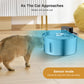 PurrStream™ Stainless Steel Fountain